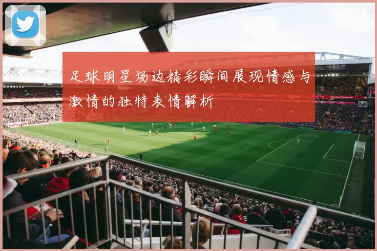 足球明星场边精彩瞬间展现情感与激情的独特表情解析