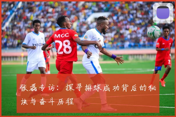 张磊专访：探寻排球成功背后的秘诀与奋斗历程