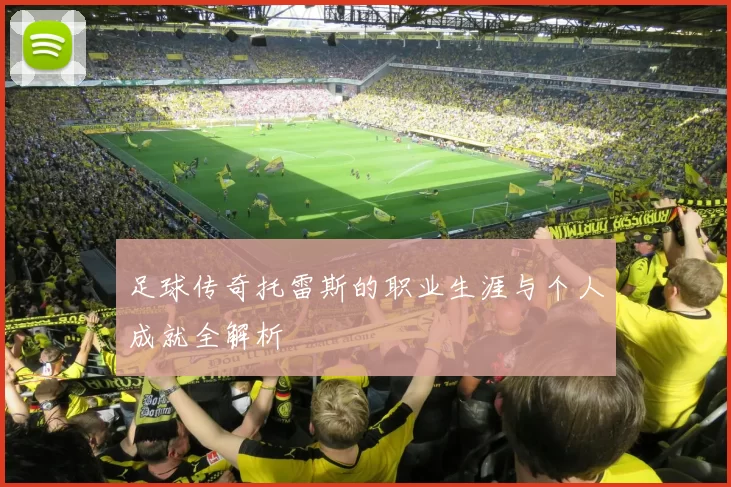 足球传奇托雷斯的职业生涯与个人成就全解析