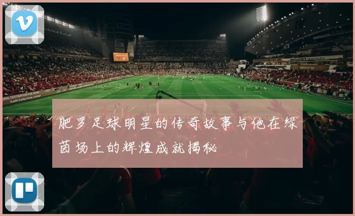 肥罗足球明星的传奇故事与他在绿茵场上的辉煌成就揭秘