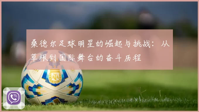 桑德尔足球明星的崛起与挑战：从草根到国际舞台的奋斗历程