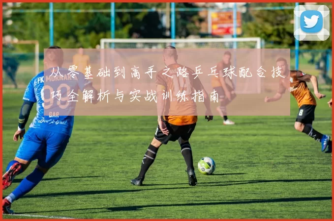 从零基础到高手之路乒乓球配合技巧全解析与实战训练指南