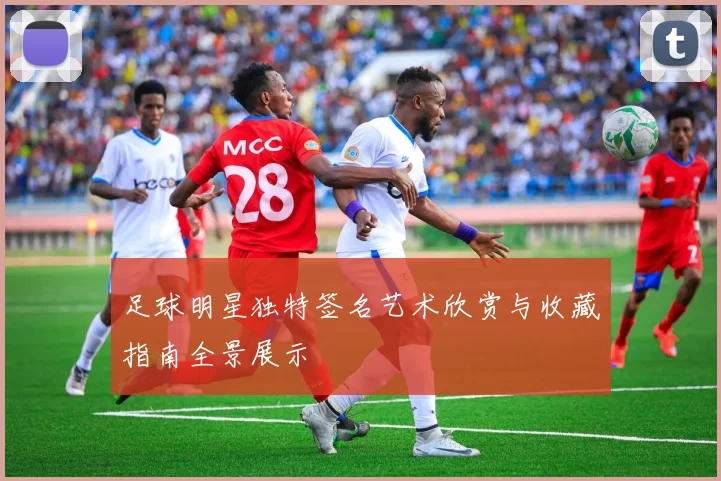 足球明星独特签名艺术欣赏与收藏指南全景展示