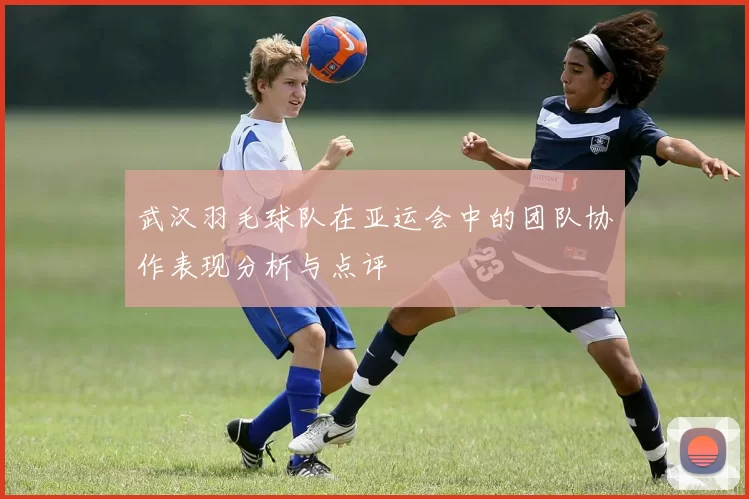 武汉羽毛球队在亚运会中的团队协作表现分析与点评