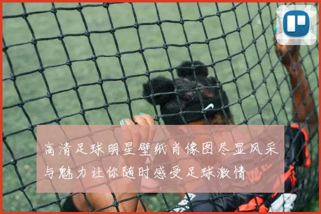 高清足球明星壁纸肖像图尽显风采与魅力让你随时感受足球激情