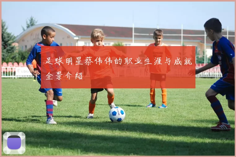 足球明星蔡伟伟的职业生涯与成就全景介绍