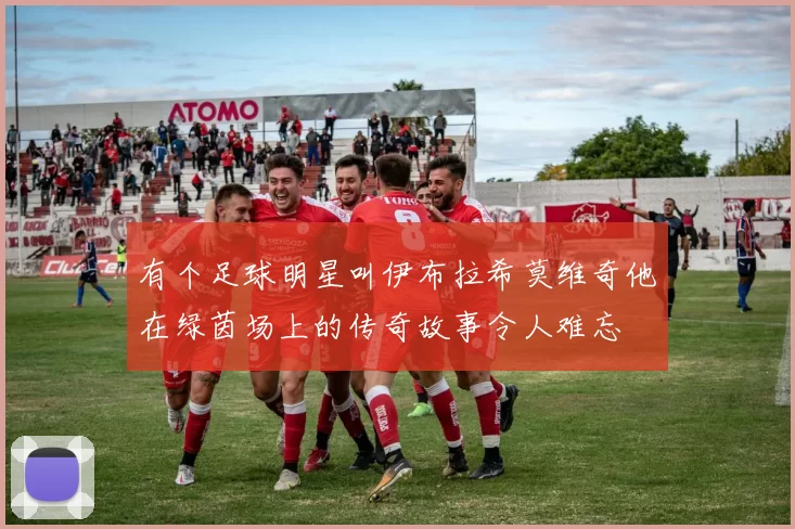 有个足球明星叫伊布拉希莫维奇他在绿茵场上的传奇故事令人难忘